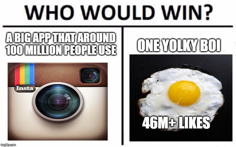 Who Would Win? | A BIG APP THAT AROUND 100 MILLION PEOPLE USE; ONE YOLKY BOI; 46M+ LIKES | image tagged in memes,who would win | made w/ Imgflip meme maker
