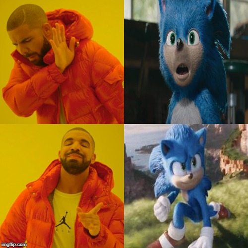 Sonic Movie: Fans in a nutshel | image tagged in sonic movie | made w/ Imgflip meme maker