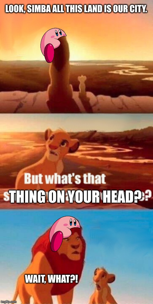 Simba Shadowy Place | LOOK, SIMBA ALL THIS LAND IS OUR CITY. THING ON YOUR HEAD? WAIT, WHAT?! | image tagged in memes,simba shadowy place | made w/ Imgflip meme maker
