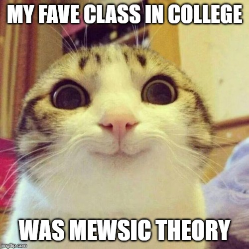mewsic theory | MY FAVE CLASS IN COLLEGE; WAS MEWSIC THEORY | image tagged in memes,smiling cat,mewsic theory | made w/ Imgflip meme maker