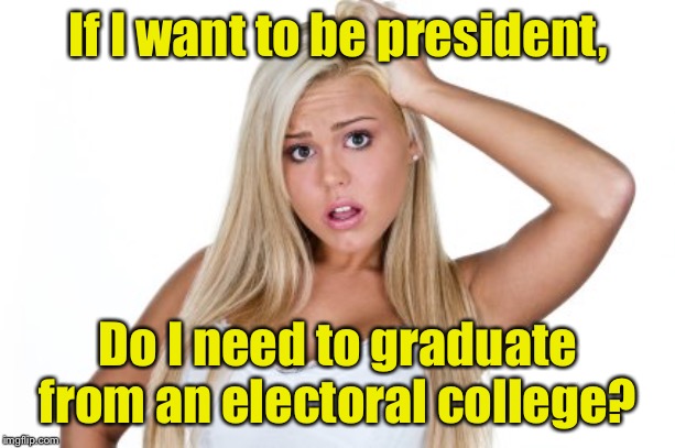 Dumb Blonde | If I want to be president, Do I need to graduate from an electoral college? | image tagged in dumb blonde | made w/ Imgflip meme maker