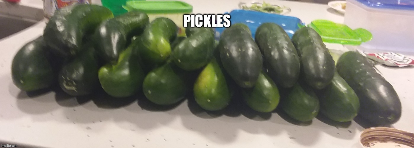 Pickles | PICKLES | image tagged in memes | made w/ Imgflip meme maker