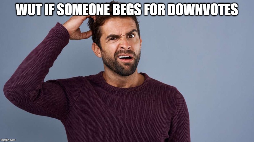 WUT IF SOMEONE BEGS FOR DOWNVOTES | made w/ Imgflip meme maker