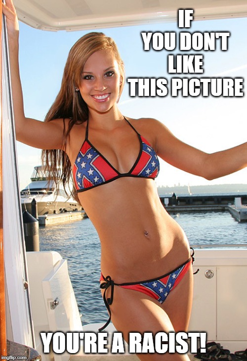 Confederate Bikini | IF YOU DON'T LIKE THIS PICTURE; YOU'RE A RACIST! | image tagged in confederate bikini | made w/ Imgflip meme maker