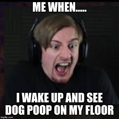 lol | ME WHEN..... I WAKE UP AND SEE DOG POOP ON MY FLOOR | image tagged in oof | made w/ Imgflip meme maker