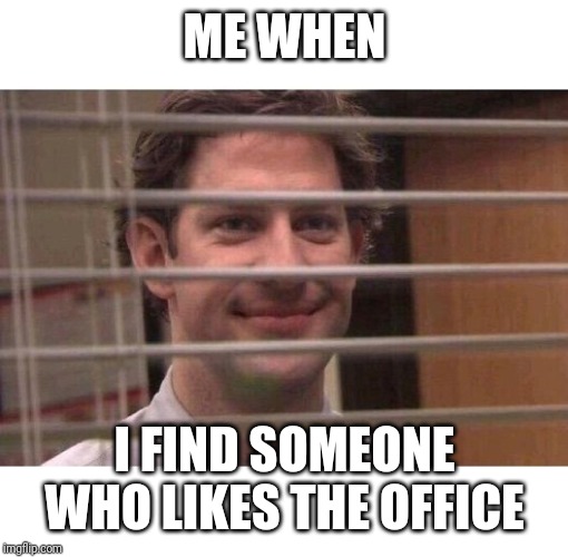 Jim Office Blinds | ME WHEN I FIND SOMEONE WHO LIKES THE OFFICE | image tagged in jim office blinds | made w/ Imgflip meme maker