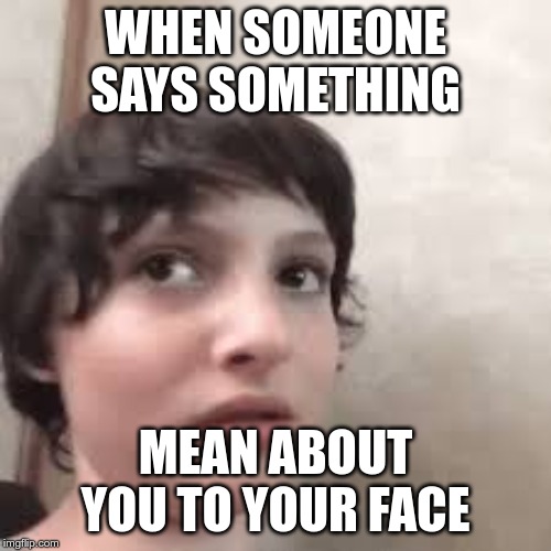 Finn Wolfhard | WHEN SOMEONE SAYS SOMETHING; MEAN ABOUT YOU TO YOUR FACE | image tagged in finn,wolfhard,mean,tourface | made w/ Imgflip meme maker
