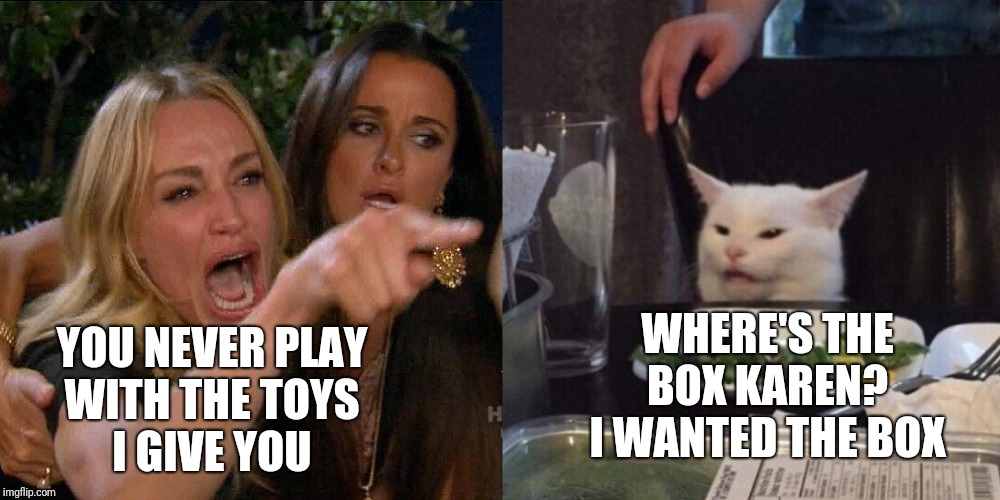 Karen and the Cat | WHERE'S THE BOX KAREN?
I WANTED THE BOX; YOU NEVER PLAY
WITH THE TOYS
I GIVE YOU | image tagged in woman yelling at cat | made w/ Imgflip meme maker