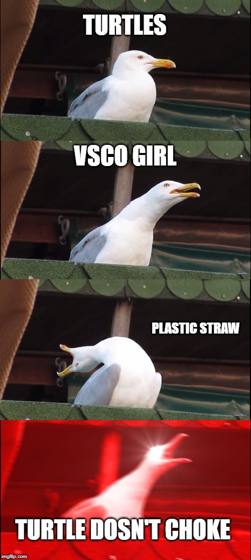 Inhaling Seagull Meme | TURTLES; VSCO GIRL; PLASTIC STRAW; TURTLE DOSN'T CHOKE | image tagged in memes,inhaling seagull | made w/ Imgflip meme maker