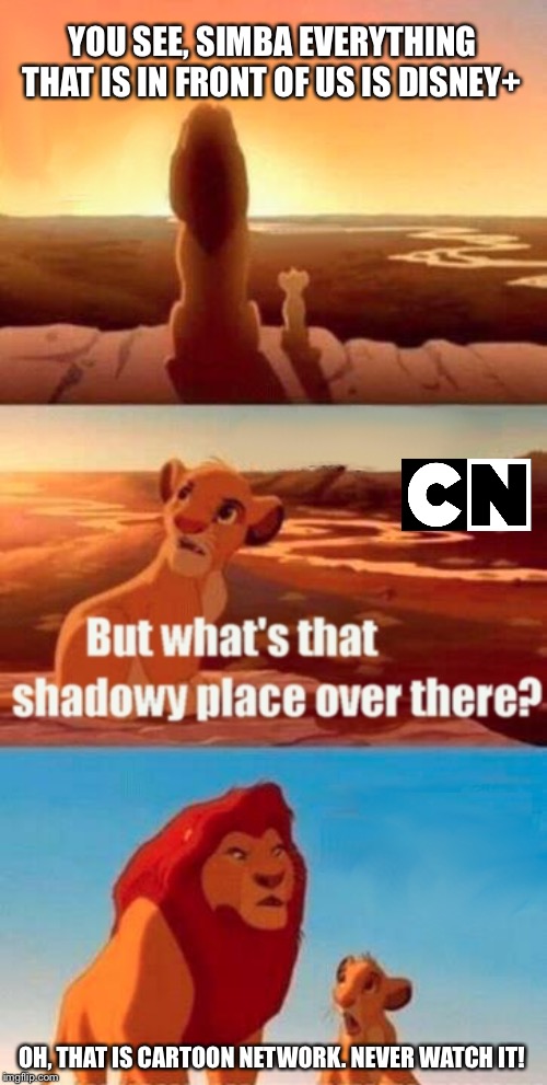 Simba Shadowy Place | YOU SEE, SIMBA EVERYTHING THAT IS IN FRONT OF US IS DISNEY+; OH, THAT IS CARTOON NETWORK. NEVER WATCH IT! | image tagged in memes,simba shadowy place | made w/ Imgflip meme maker
