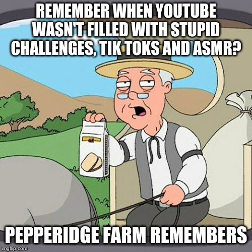 I miss the old youtube | REMEMBER WHEN YOUTUBE WASN'T FILLED WITH STUPID CHALLENGES, TIK TOKS, AND ASMR? PEPPERIDGE FARM REMEMBERS | image tagged in memes,pepperidge farm remembers,youtube,challenge,tik tok,asmr | made w/ Imgflip meme maker