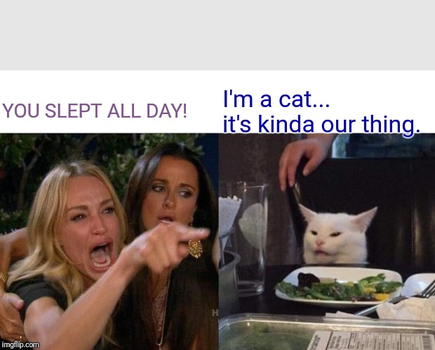 Woman Yelling At Cat | YOU SLEPT ALL DAY! I'm a cat... it's kinda our thing. | image tagged in memes,woman yelling at cat | made w/ Imgflip meme maker