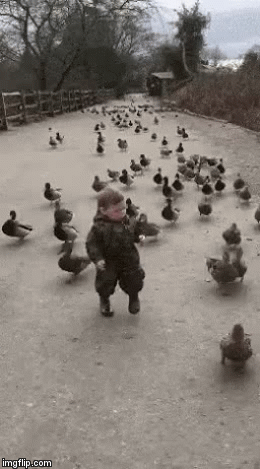 image tagged in gifs | made w/ Imgflip video-to-gif maker