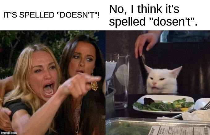 Woman Yelling At Cat | IT'S SPELLED "DOESN'T"! No, I think it's spelled "dosen't". | image tagged in memes,woman yelling at cat | made w/ Imgflip meme maker