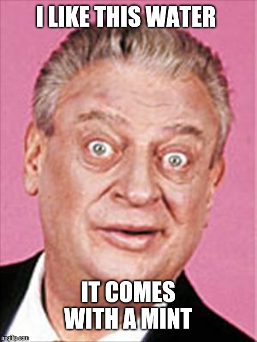 rodney dangerfield | I LIKE THIS WATER IT COMES WITH A MINT | image tagged in rodney dangerfield | made w/ Imgflip meme maker