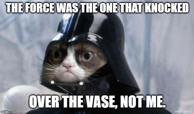 Grumpy Cat Star Wars | THE FORCE WAS THE ONE THAT KNOCKED; OVER THE VASE, NOT ME. | image tagged in memes,grumpy cat star wars,grumpy cat | made w/ Imgflip meme maker