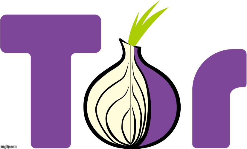 Tor onion | image tagged in tor onion | made w/ Imgflip meme maker