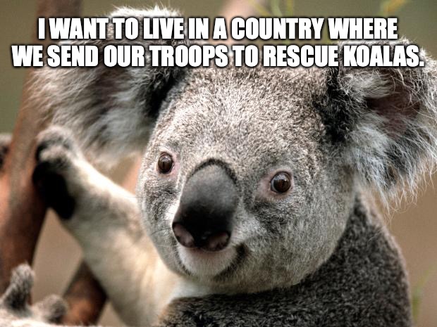 koala  | I WANT TO LIVE IN A COUNTRY WHERE WE SEND OUR TROOPS TO RESCUE KOALAS. | image tagged in koala | made w/ Imgflip meme maker