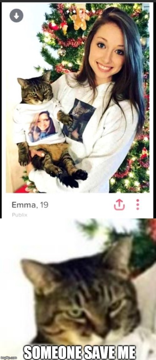 SOMEONE SAVE ME | image tagged in tinder,cats,funny cats,crazy cat lady | made w/ Imgflip meme maker