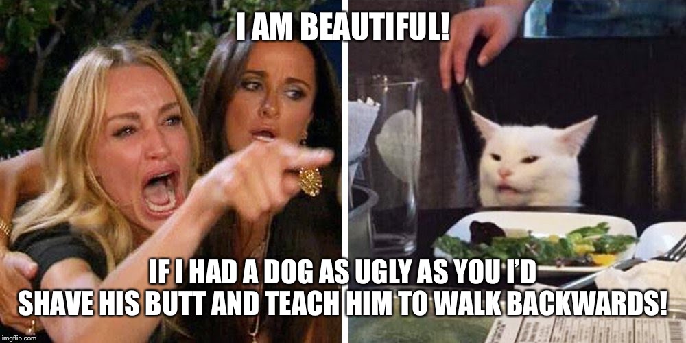 Smudge the cat | I AM BEAUTIFUL! IF I HAD A DOG AS UGLY AS YOU I’D SHAVE HIS BUTT AND TEACH HIM TO WALK BACKWARDS! | image tagged in smudge the cat | made w/ Imgflip meme maker