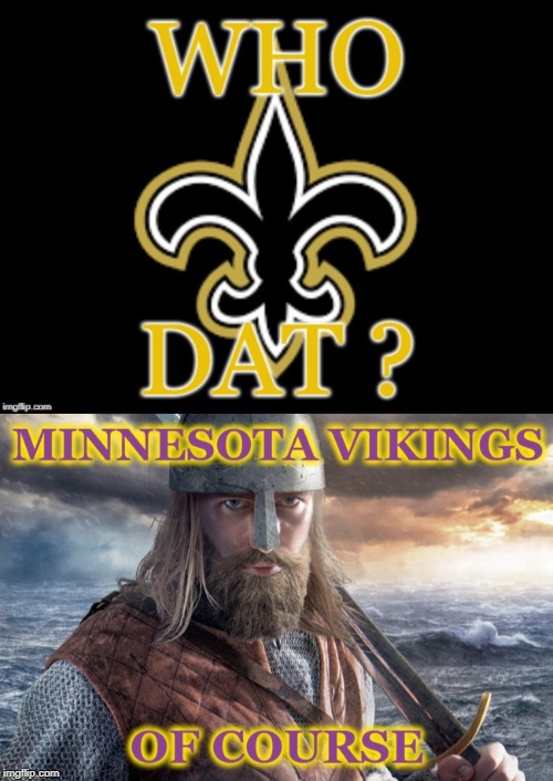 Minnesota Vikings | image tagged in vikings | made w/ Imgflip meme maker