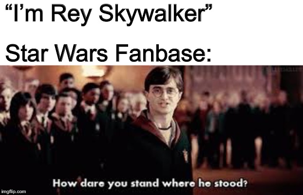 How dare you stand where he stood | “I’m Rey Skywalker”; Star Wars Fanbase: | image tagged in how dare you stand where he stood | made w/ Imgflip meme maker