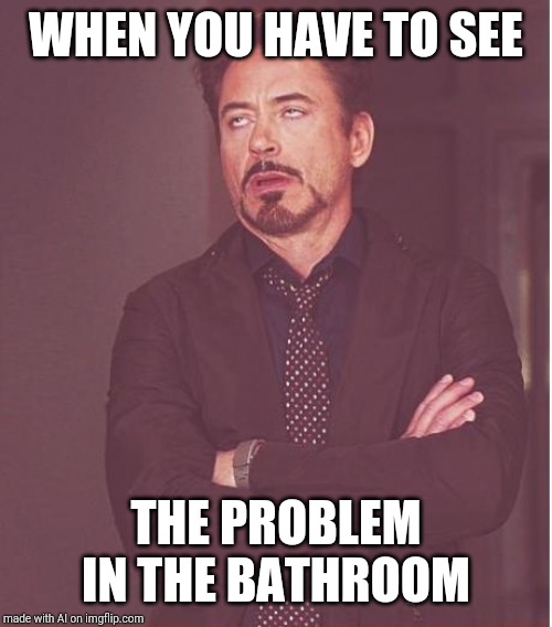 Face You Make Robert Downey Jr | WHEN YOU HAVE TO SEE; THE PROBLEM IN THE BATHROOM | image tagged in memes,face you make robert downey jr | made w/ Imgflip meme maker