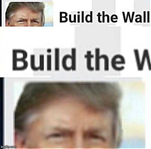 (Don’t) Build the wall | image tagged in build the wall,donald trump,annoying | made w/ Imgflip meme maker