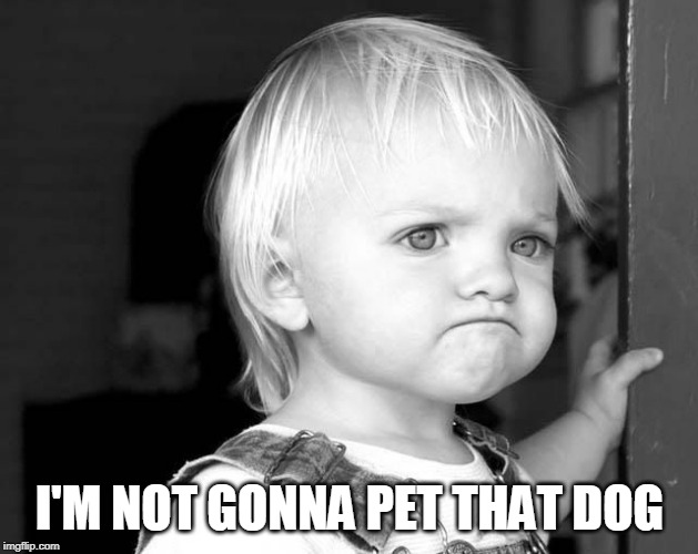 FROWN KID | I'M NOT GONNA PET THAT DOG | image tagged in frown kid | made w/ Imgflip meme maker