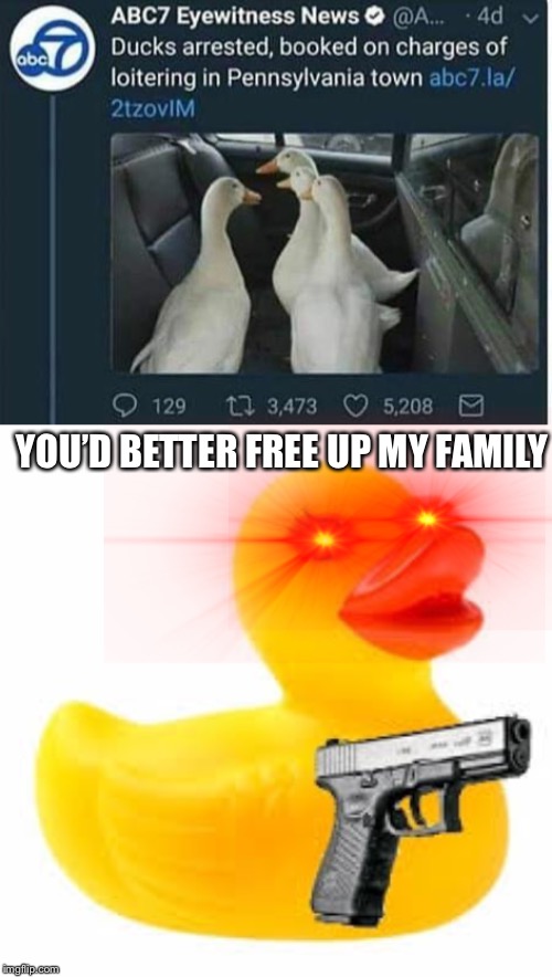 YOU’D BETTER FREE UP MY FAMILY | image tagged in rubber ducky glock,funny,memes,duck,glock,ducks | made w/ Imgflip meme maker