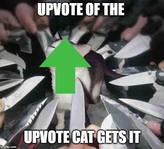 Knife Cat | UPVOTE OF THE; UPVOTE CAT GETS IT | image tagged in knife cat | made w/ Imgflip meme maker