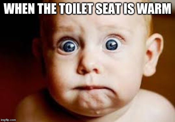  WHEN THE TOILET SEAT IS WARM | image tagged in memes | made w/ Imgflip meme maker
