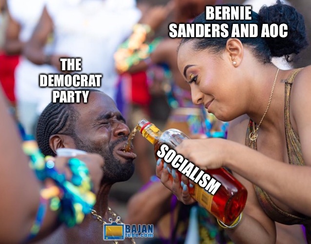 BERNIE SANDERS AND AOC; THE DEMOCRAT PARTY; SOCIALISM | image tagged in bernie sanders,socialism,democrats | made w/ Imgflip meme maker