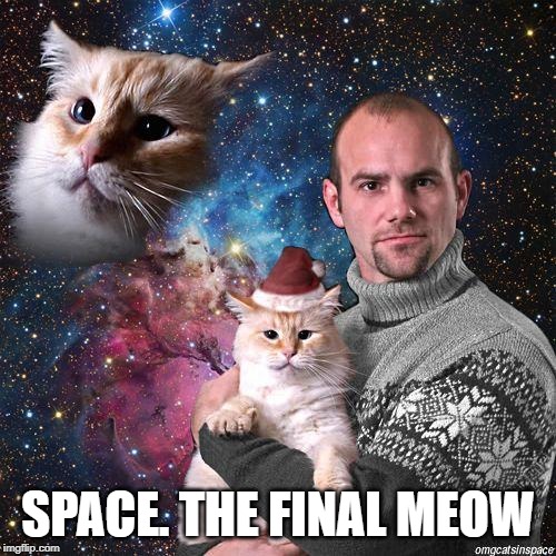 Star Cat | SPACE. THE FINAL MEOW | image tagged in funny cat | made w/ Imgflip meme maker