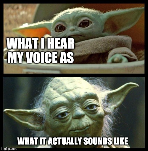 baby yoda | WHAT I HEAR MY VOICE AS; WHAT IT ACTUALLY SOUNDS LIKE | image tagged in baby yoda | made w/ Imgflip meme maker