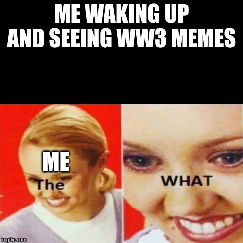 The What | ME WAKING UP AND SEEING WW3 MEMES; ME | image tagged in the what | made w/ Imgflip meme maker