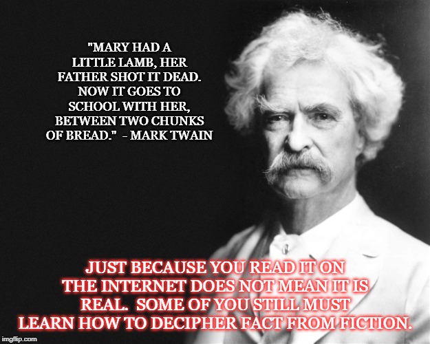 Mark Twain | "MARY HAD A LITTLE LAMB, HER FATHER SHOT IT DEAD. NOW IT GOES TO SCHOOL WITH HER, BETWEEN TWO CHUNKS OF BREAD."  - MARK TWAIN; JUST BECAUSE YOU READ IT ON THE INTERNET DOES NOT MEAN IT IS REAL.  SOME OF YOU STILL MUST LEARN HOW TO DECIPHER FACT FROM FICTION. | image tagged in mark twain | made w/ Imgflip meme maker