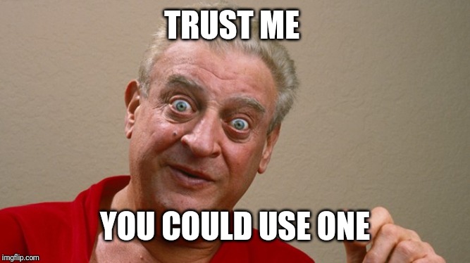 Rodney Dangerfield | TRUST ME YOU COULD USE ONE | image tagged in rodney dangerfield | made w/ Imgflip meme maker
