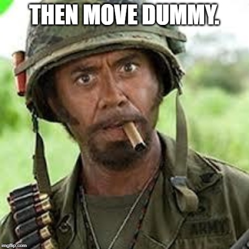 Never go full retard | THEN MOVE DUMMY. | image tagged in never go full retard | made w/ Imgflip meme maker