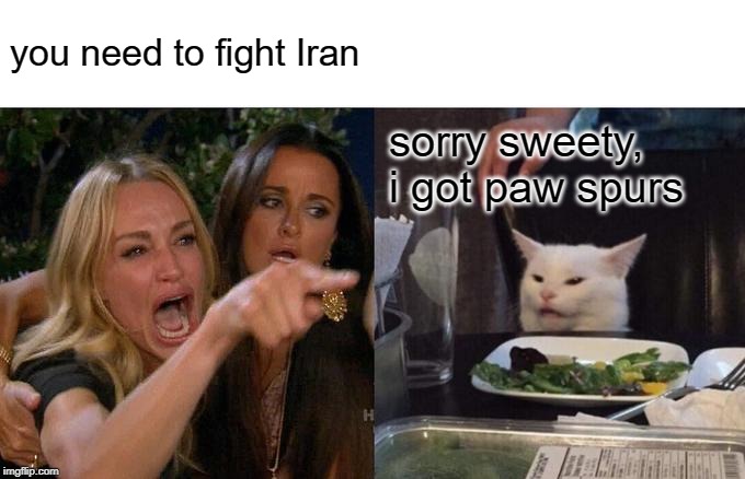 Woman Yelling At Cat Meme | you need to fight Iran sorry sweety, i got paw spurs | image tagged in memes,woman yelling at cat | made w/ Imgflip meme maker