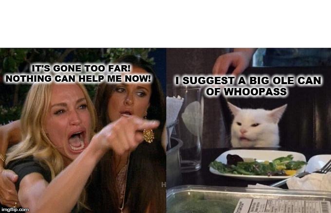 Woman Yelling At Cat | IT'S GONE TOO FAR!
NOTHING CAN HELP ME NOW! I SUGGEST A BIG OLE CAN 
         OF WHOOPASS | image tagged in memes,woman yelling at cat | made w/ Imgflip meme maker