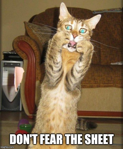 Scaredy Cat | DON'T FEAR THE SHEET | image tagged in scaredy cat | made w/ Imgflip meme maker