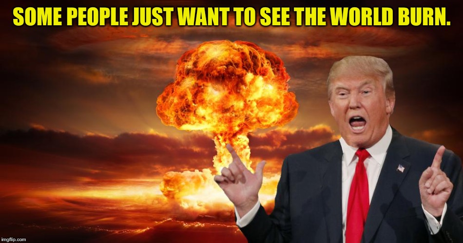 Trump fire and fury | SOME PEOPLE JUST WANT TO SEE THE WORLD BURN. | image tagged in trump fire and fury | made w/ Imgflip meme maker