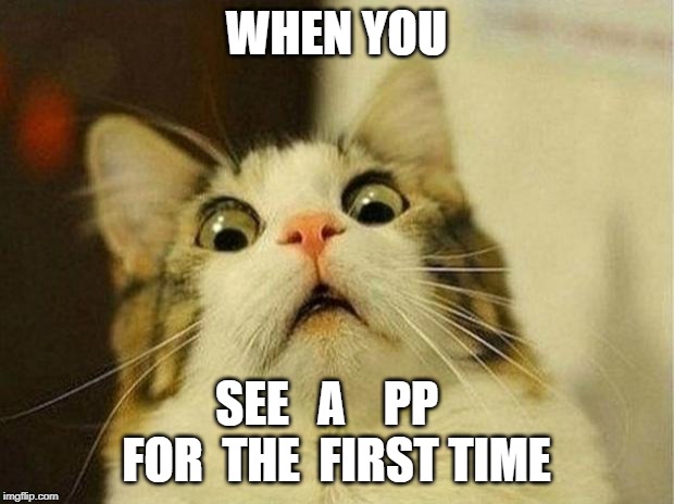 Scared Cat | WHEN YOU; SEE   A    PP   FOR  THE  FIRST TIME | image tagged in memes,scared cat | made w/ Imgflip meme maker