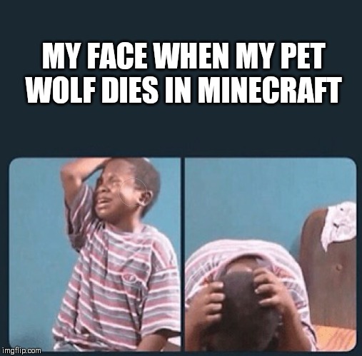 It hurts... Every time |  MY FACE WHEN MY PET WOLF DIES IN MINECRAFT | image tagged in black kid crying with knife,minecraft,memes,funny,wolf,dog | made w/ Imgflip meme maker