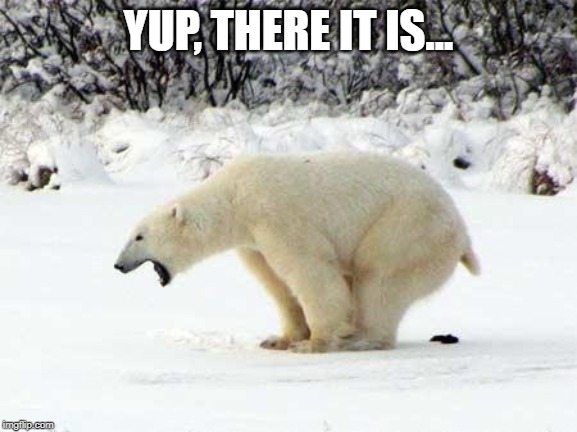 Polar Bear Shits in the Snow | YUP, THERE IT IS... | image tagged in polar bear shits in the snow | made w/ Imgflip meme maker