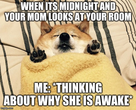 Fat Doge | WHEN ITS MIDNIGHT AND YOUR MOM LOOKS AT YOUR ROOM; ME: *THINKING ABOUT WHY SHE IS AWAKE* | image tagged in fat doge | made w/ Imgflip meme maker