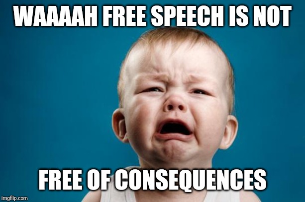 BABY CRYING | WAAAAH FREE SPEECH IS NOT FREE OF CONSEQUENCES | image tagged in baby crying | made w/ Imgflip meme maker