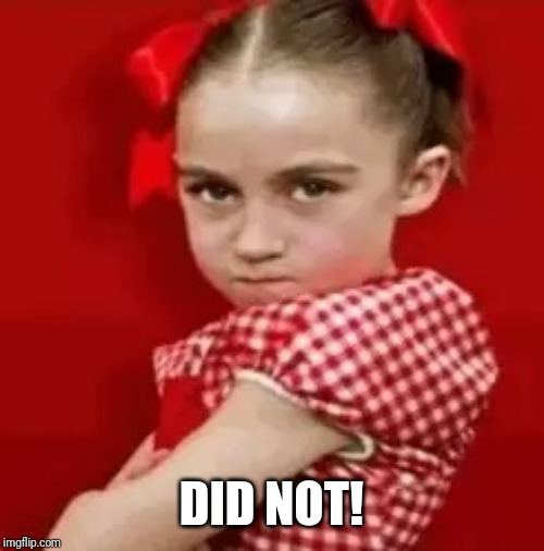 Spoiled Little Sister | DID NOT! | image tagged in spoiled little sister | made w/ Imgflip meme maker