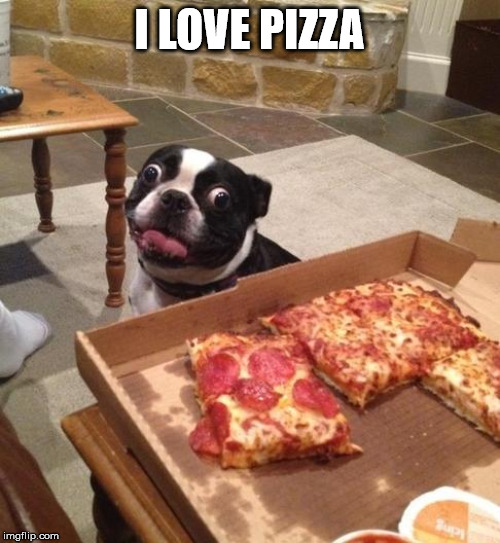 Hungry Pizza Dog | I LOVE PIZZA | image tagged in hungry pizza dog | made w/ Imgflip meme maker